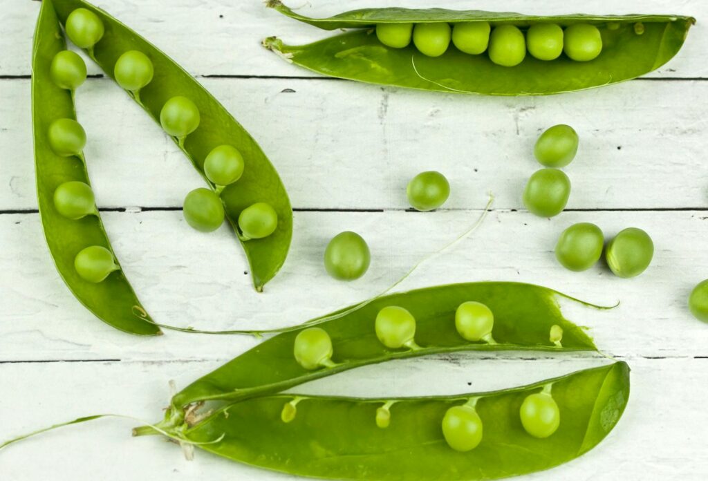 vegan protein manufacturing plant australia
